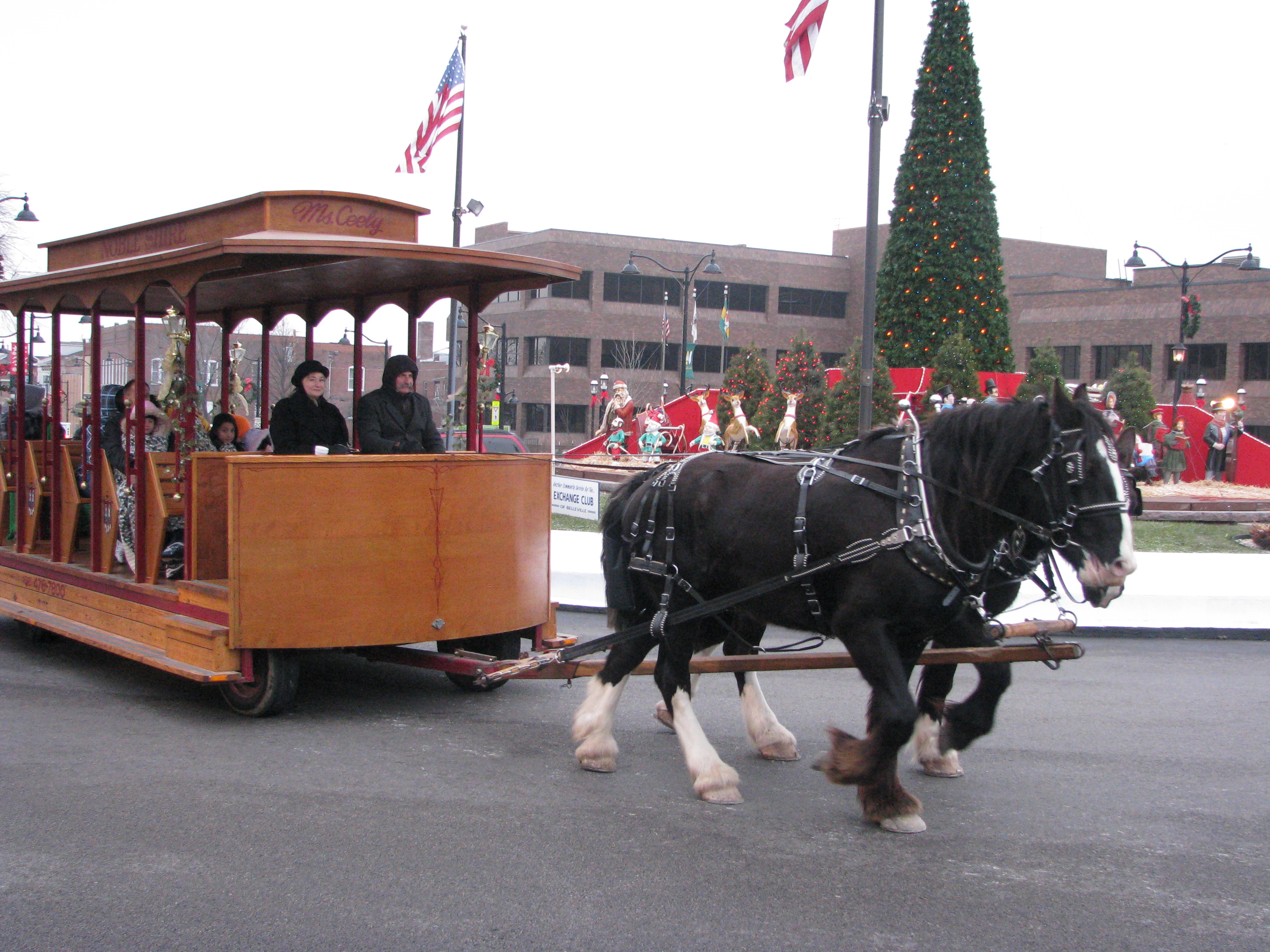 11th Annual Belleville Christkindlmarkt